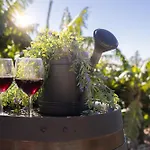 Romantic Seaview Wine House In Madeira *