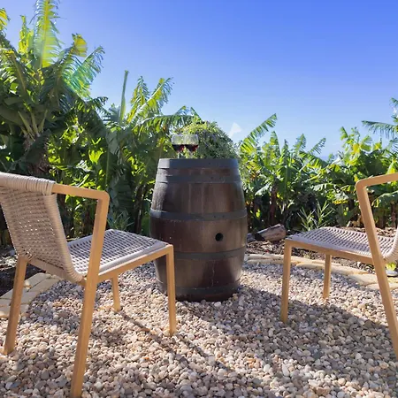 Romantic Seaview Wine House In Madeira Semesterbostad *