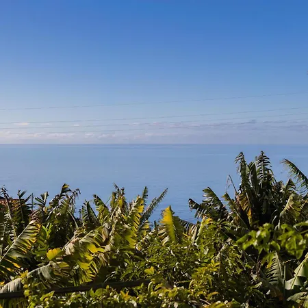 Romantic Seaview Wine House In Madeira