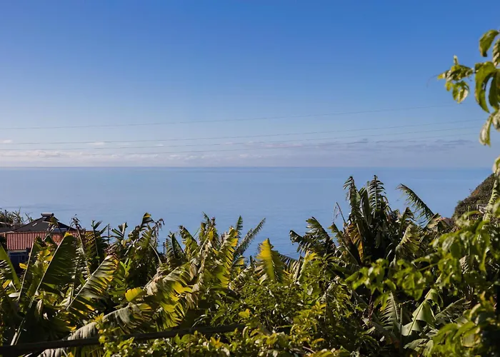 Romantic Seaview Wine House In Madeira