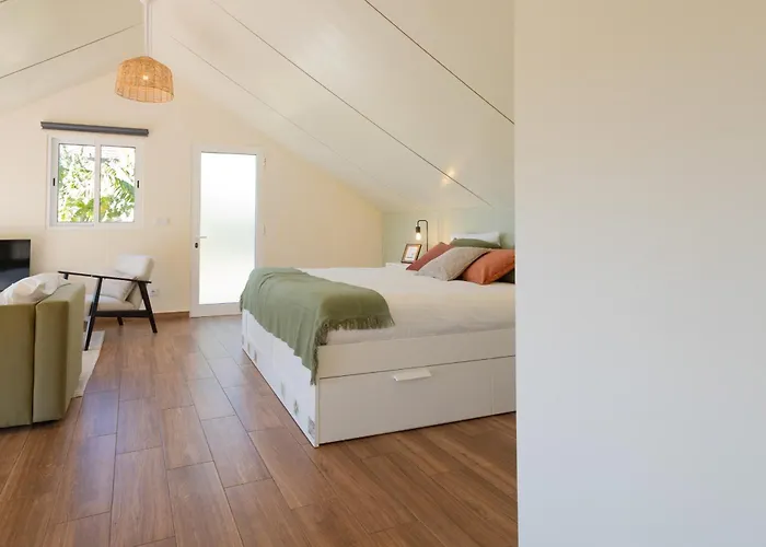 Romantic Seaview Wine House In Madeira Semesterbostad *