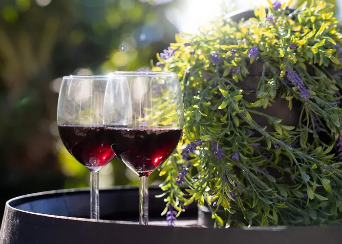 Romantic Seaview Wine House In Madeira Semesterbostad Ponta do Sol (Madeira)