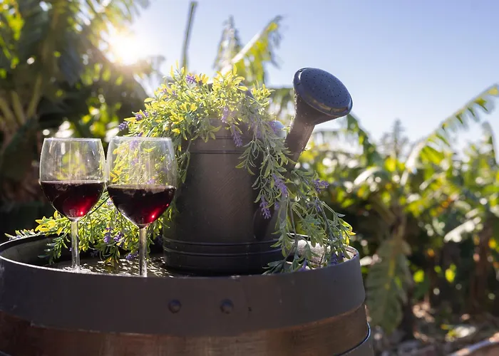 Romantic Seaview Wine House In Madeira *