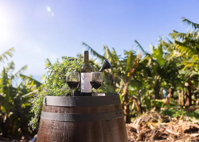 度假居 Romantic Seaview Wine House In Madeira 蓬他达维托亚