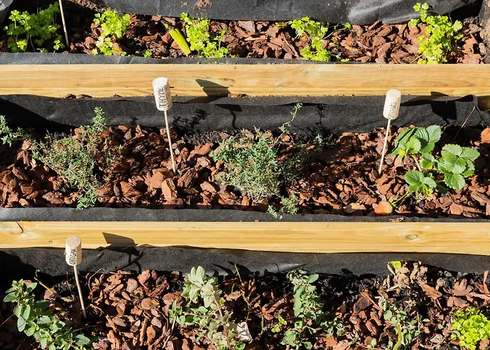 Romantic Seaview Wine House In Madeira 度假居 蓬他达维托亚